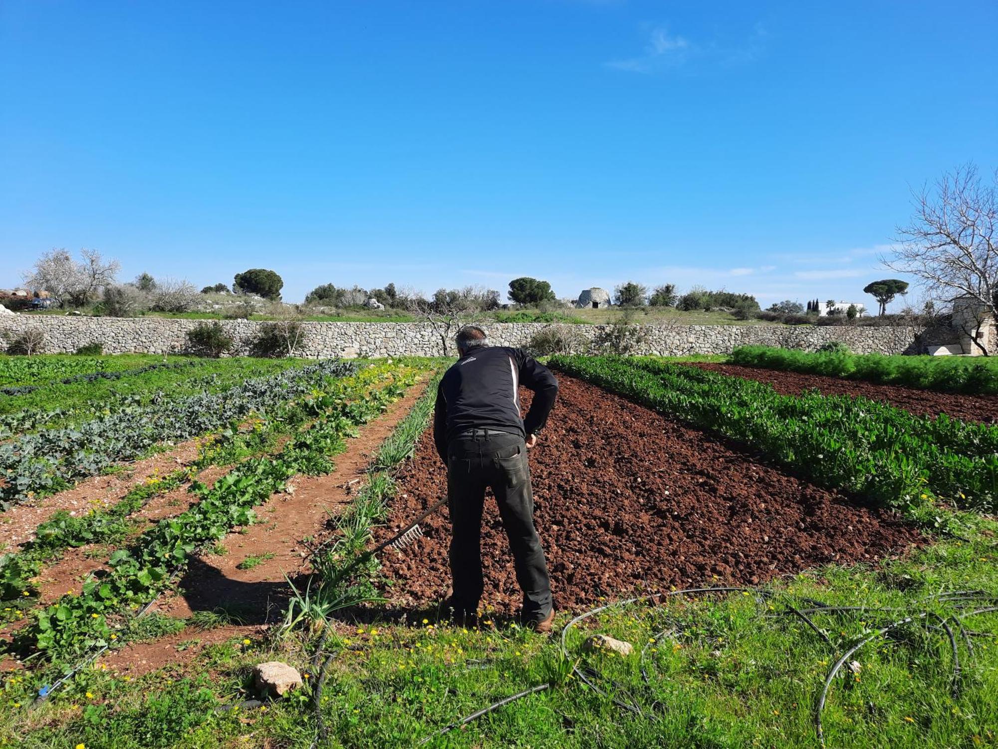Masseria San Cosimo 卡尔皮尼亚诺萨伦蒂诺 外观 照片